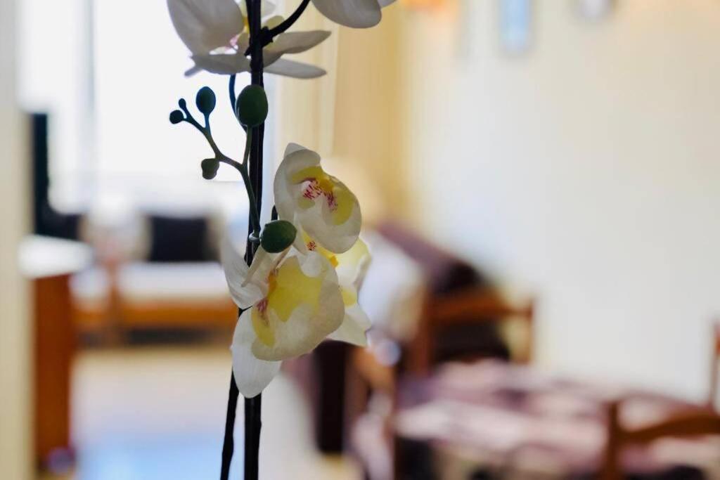 Cozy Apartment Playa Las Americas Πλάγια ντε λας Αμέρικας Εξωτερικό φωτογραφία